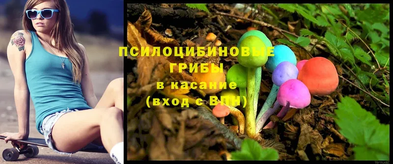 Псилоцибиновые грибы Magic Shrooms  Миньяр 